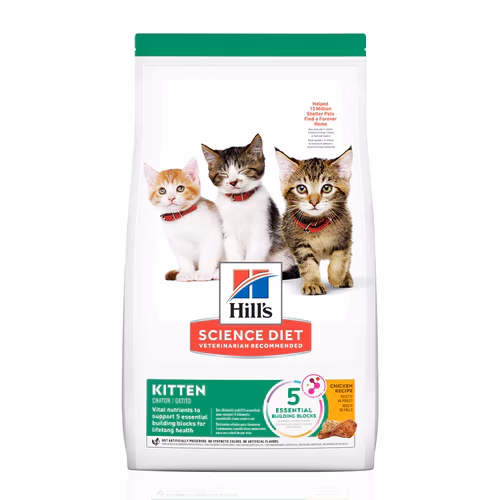 Packshot oficial de Hill's Science Diet Gatos Filhotes